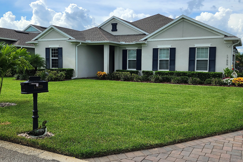 Central Florida Sod and Irrigation Guide