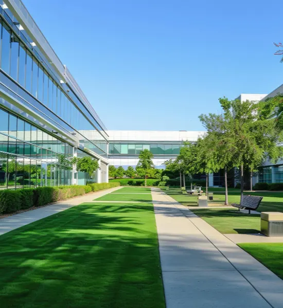 MV Lawn Services & Landscaping LLC