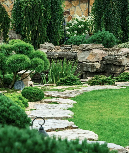 Professional landscape design planning in Central Florida featuring a conceptual layout of gardens and pathways.