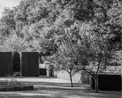 MV Lawn Services & Landscaping LLC