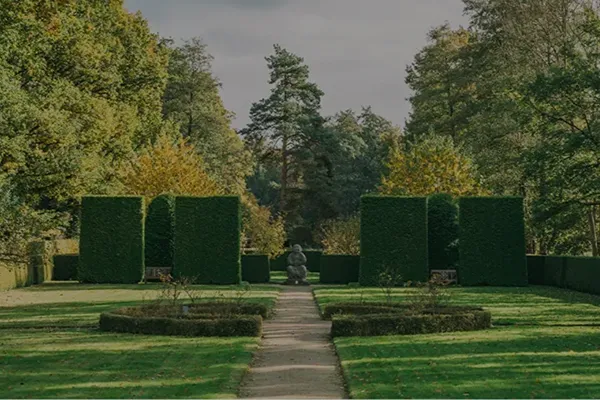 MV Lawn Services & Landscaping LLC