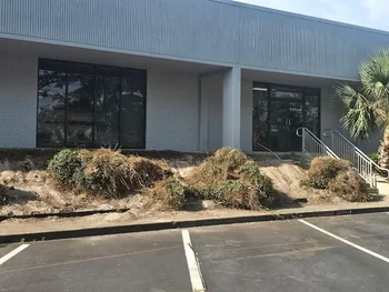 Overgrown brush and weeds outside a commercial building before landscaping