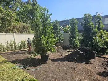 Coastal landscape design in Ormond Beach.