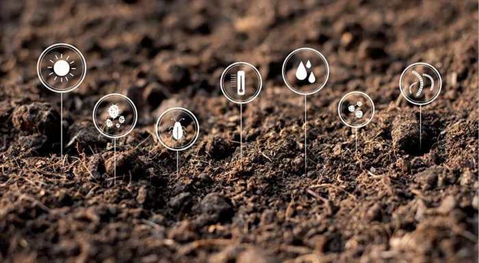 florida -  friendly landscaping for lakefront and sloped Properties