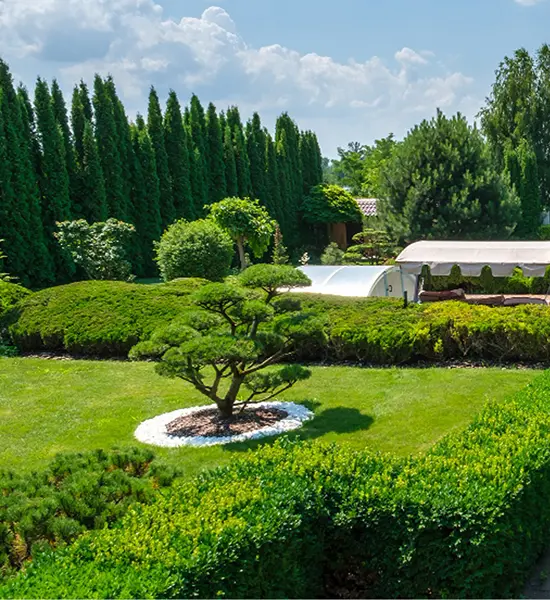 Frequently Asked questions about Custom Landscape Design