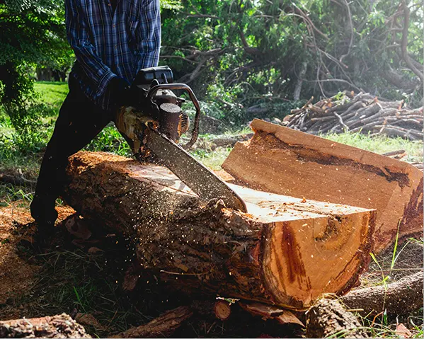 High-powered stump grinding equipment removing a large tree stump below grade to restore a flat, usable lawn surface.