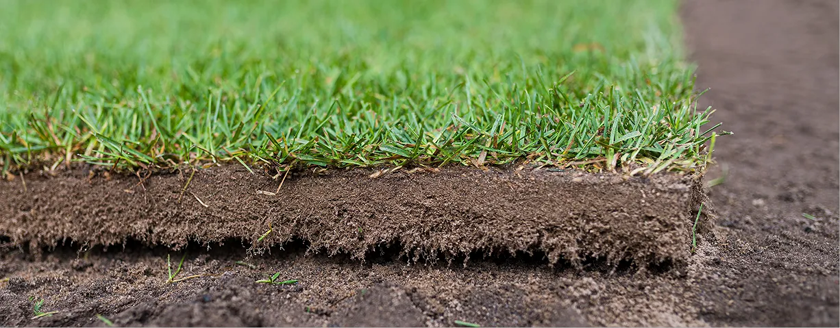 Sod Installation & Removal