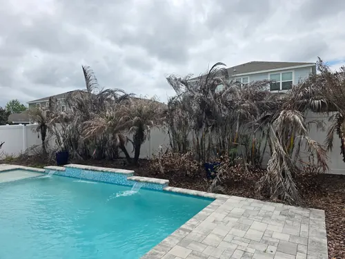 Left side of the Daytona Beach yard before the landscaping demo