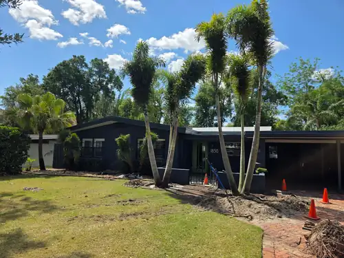 Newly planted palm trees standing tall in the Sanford front yard