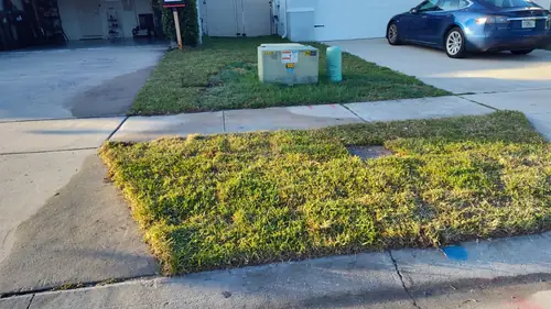 Fresh sod installed around the artificial turf and pavers in Winter Park